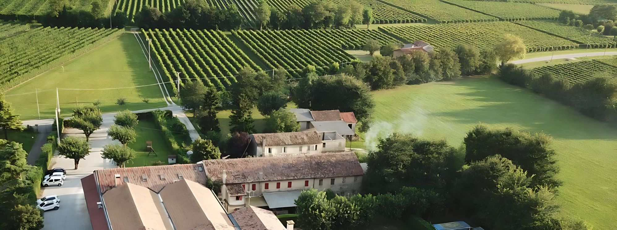 Vigneti e campi intorno all’agriturismo, visti dall’alto
